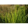 Objektyvas Fujifilm Fujinon XF 23mm f/2.8 R WR lens, juodas