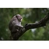 Fujifilm Objektyvas Fujinon XF500mmF5.6 R LM OIS WR