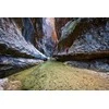 Objektyvas Fujifilm Fujinon XF 8mm F3.5 R WR