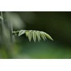Objektyvas HD Pentax D-FA 100mm f/2.8 Macro ED AW lens, juodas