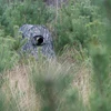 Outdoor Club Lauko klubo nuotraukų slėptuvė Vienvietis visiems sezonams