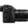 Panasonic Lumix DC-GH5 + 12-60mm LEICA