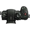 Panasonic Lumix DC-GH5S body