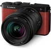 Panasonic Lumix DC-S9 + 20-60mm, crimson red