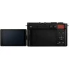 Panasonic Lumix DC-S9K + LUMIX S 20-60mm / F3.5-5.6 (Crimson Raudona)