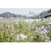„Panasonic Lumix S 24-60mm f/2.8“ objektyvas