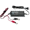 Platinet car battery charger Universal 3.8A 6/12V
