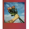 Polaroid „Go Film Gradient“ rėmelių dvigubas rinkinys, 16 nuotraukų