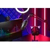 Razer | Srautinio perdavimo mikrofonas | Seiren V2 Pro | Juodas | Laidinis