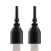Rode cable SC22 USB-C - USB-C 30cm