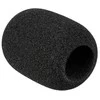 Rode priekinis stiklas WS2
