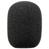 Rode priekinis stiklas WS2