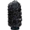 Rode priekinis stiklas WS6