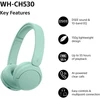 SONY WH-CH530G Ausinės
