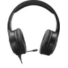„Speedlink“ ausinės „Casad PS4“ (SL450305)