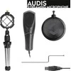 Ausinės „Speedlink“ mikrofonas „Auds Streaming“ (SL-800012-BK)