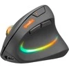 Speedlink - PIAVO PRO įkraunama vertikali ergonominė pelė su apšvietimu - belaidė, guminės juodos spalvos