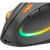 Speedlink - PIAVO PRO įkraunama vertikali ergonominė pelė su apšvietimu - belaidė, guminės juodos spalvos