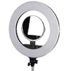 StudioKing LED žiedas LED-480ASK