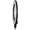 StudioKing LED žiedas LED-480ASK