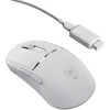 Belaidė „Turtle Beach Burst II Pro“ pelė, balta