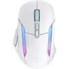 Turtle Beach belaidė pelė Kone II Air, baltas