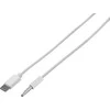 Vivanco cable USB-C - 3,5mm 1m (62533) | Vivanco