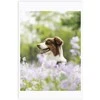 Xiaomi Portable Photo Paper Stickers 50 sheets