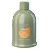 Alter Ego Alterego Skirtas garbanotiems plaukams Hair Šampūnas plaukų šampūnas, 300 ml