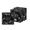 ARCTIC S12038-8 serverio ventiliatoriai, 4-pin, 120mm, 3 vnt.