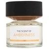 Bmw The Scent Of Amberness EDP parfumuotas vanduo vyrams, 100 ml