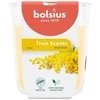 Bolsius „True Scents“ kvapioji žvakė 80x73mm, „Mimosa“