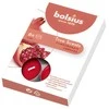 Bolsius BOLSIUS True Scents 4H kvapiosios žvakutės 60 vnt. GARANE