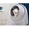 Catlink Scooper Young su kate viduje