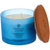 Chesapeake Bay Candle 3 dagčių žvakė – Confidence & Freedom (Oak Moss Amber)