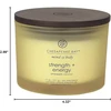 Chesapeake Bay Candle 3 dagčių žvakė – Strength & Energy (Pineapple Coconut)