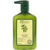 Plaukų ir kūno kondicionierius CHI Olive Organics Hair &amp; Body Conditioner 340ml