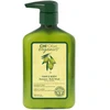 Šampūnas ir kūno prausiklis CHI Olive Organics Hair &amp; Body Šampūnas 340 ml