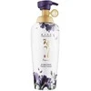 Daeng Gi Meo Ri Vitalizing Premium Treatment 500 ml