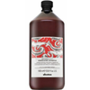 Davines Natural Tech Energizing Šampūnas, 1000 ml