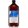 Davines NATURALTECH Rebalancing Šampūnas šampūnas riebiai galvos odai ir plaukams, 1000 ml