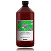 Davines Natural Tech Renewing Šampūnas atnaujinantis šampūnas, 1000 ml