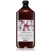 Davines Natural Tech Replumping Šampūnas, 1000 ml
