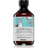 Davines Alchemic plaukų šampūnas drėkinimui, 250 ml