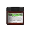 Davines Natural Tech Renewing Conditioning Treatment, 250 ml