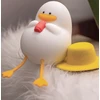 Sieninis šviestuvas LED naktinė lempa SUMMER DUCK FNL-11 Forever Light