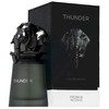 French Avenue Thunder EDP parfumuotas vanduo unisex, 100 ml