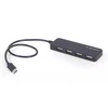 GEMBIRD 4 prievadų USB tipo C HUB 4 x USB 2.0