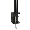 Laikiklis ARCTIC Z2 Basic 68,6 cm (27") Gnybtas Juoda