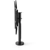 Laikiklis Nedis TVSM2231BK Table mount for TV iki 32-55"